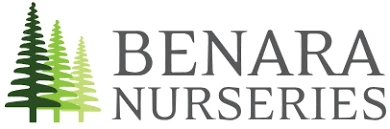 Benara Nurseries